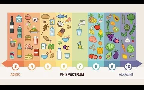 Top 10 Alkaline Foods You Should Be Eating Everyday