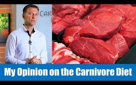 My Opinion on the Carnivore Diet