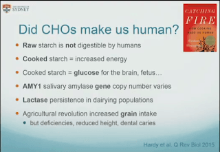 Did CHOs make us human? I doubt it