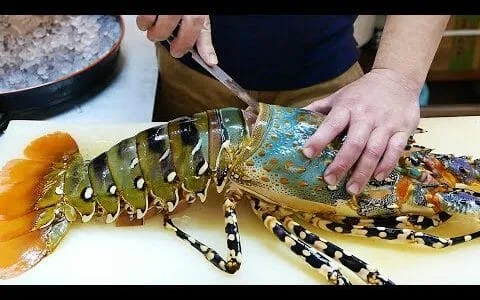 Japanese Street Food - $600 GIANT RAINBOW LOBSTER Sashimi Japan Seafood