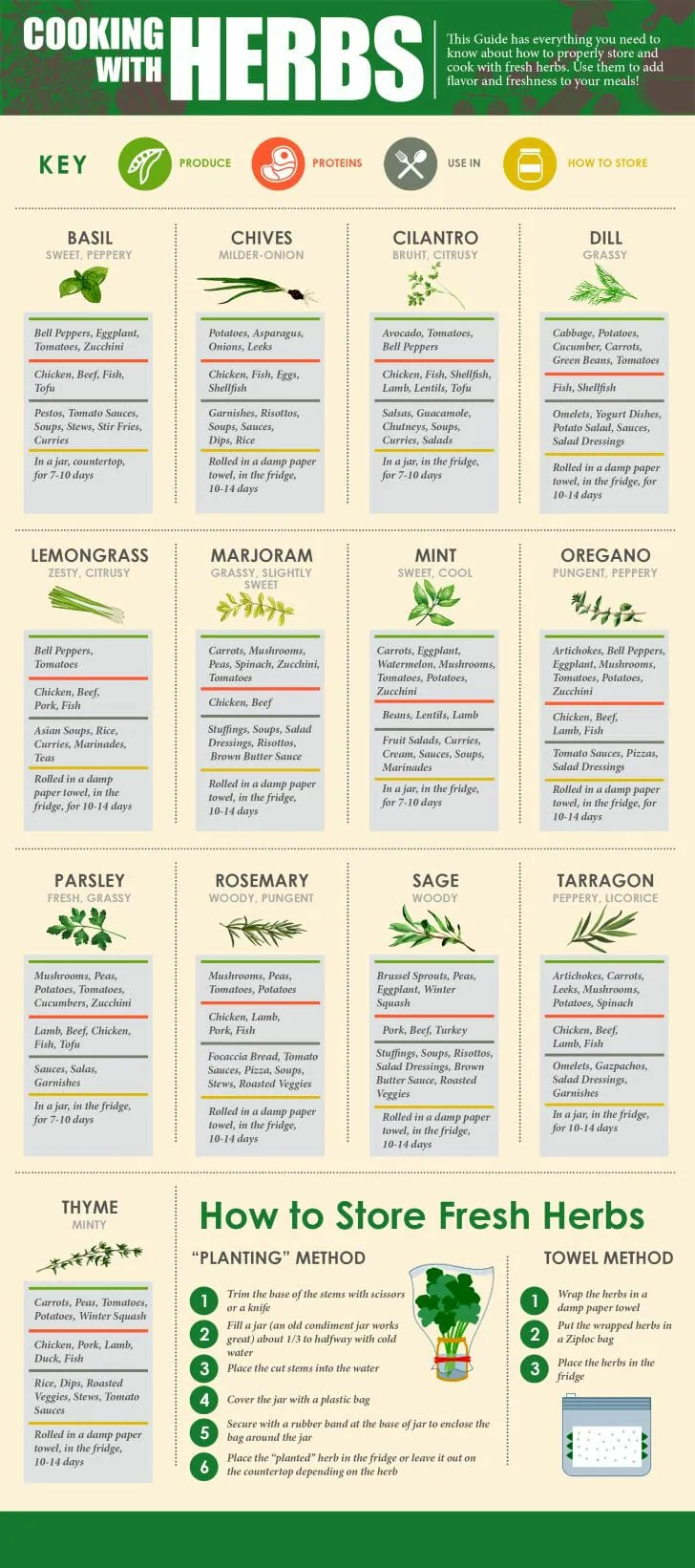 Cooking with Herbs Infographics 1
