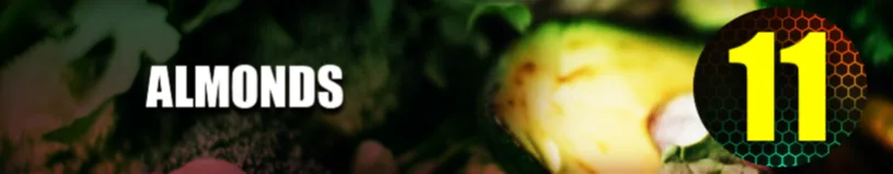 Almonds