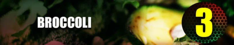 Broccoli