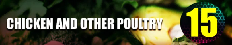 Chicken and Other Poultry
