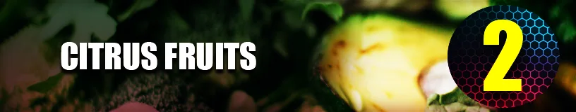 Citrus Fruits