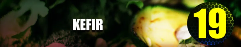 Kefir