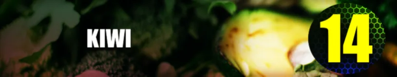 Kiwi