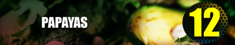 Papayas
