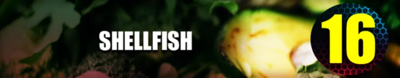 Shellfish