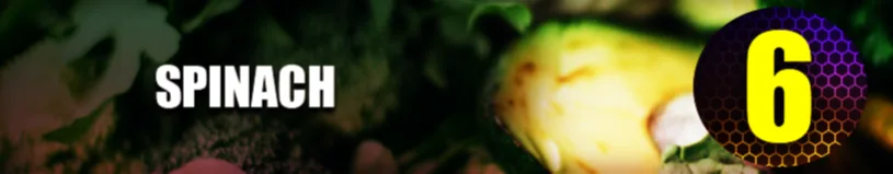 Spinach