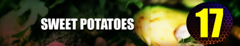 Sweet Potatoes
