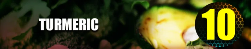 Turmeric