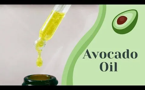 Making AVOCADO OIL From Scratch I Recipe